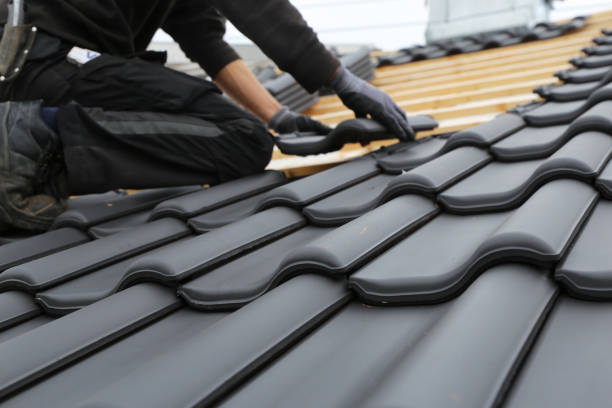 Best Sheet Metal Roofing  in Pine Air, FL